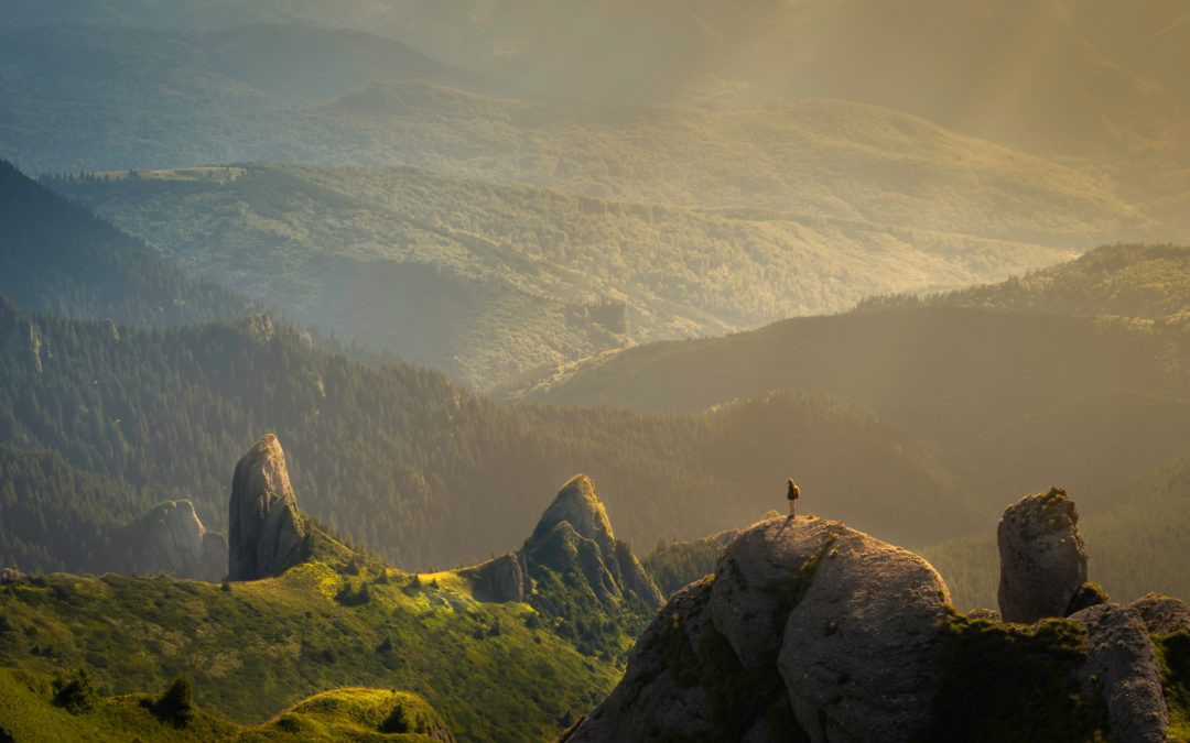 What Being in Nature Teaches Us About Patience, Relationships & Growth