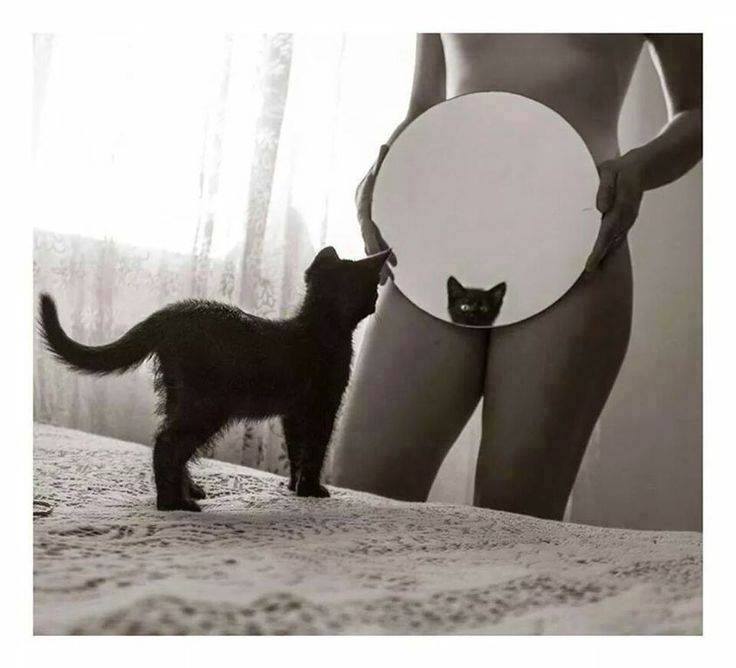 ppp-mirror